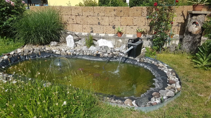 Gartenteich vor einer Natursteinmauer