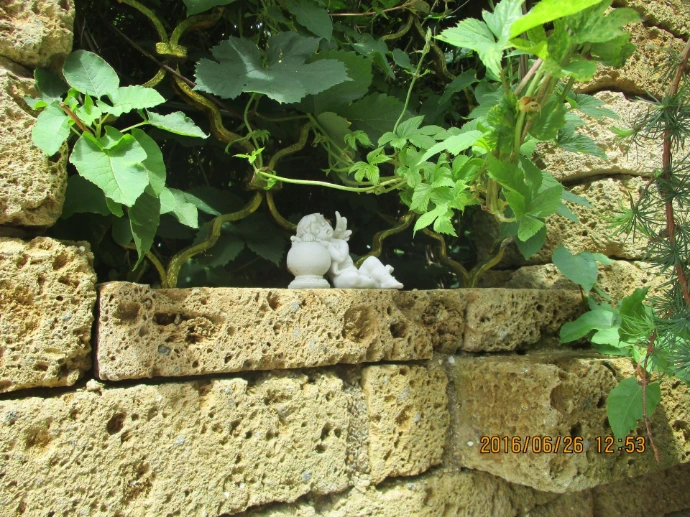 Tuffmauer mit dichtem Pflanzenbewuchs