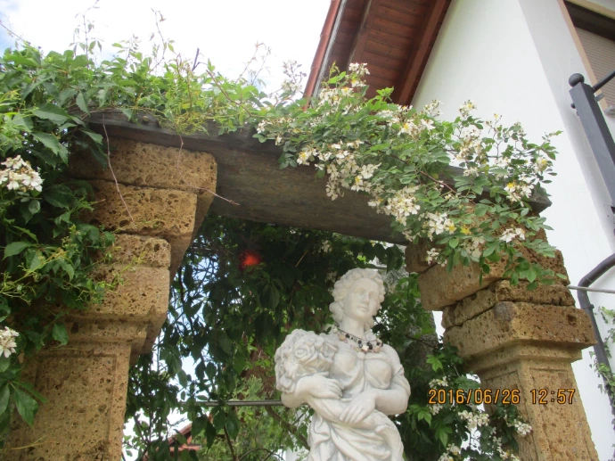 Helle Gartenfigur vor begrüntem Tuffmauerwerk